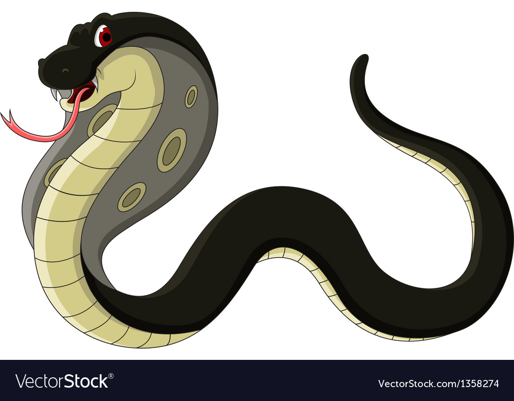 Black snake